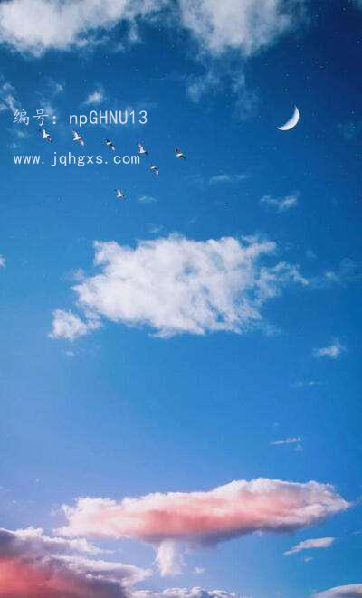 ֪ʶ