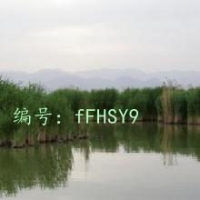 ƫ