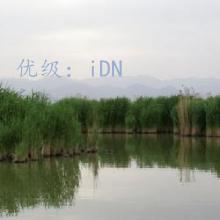 ƫ