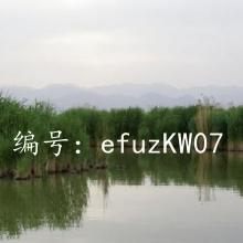 ʧ