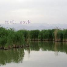 ʧ