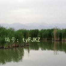 ɹ