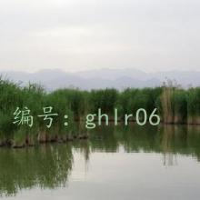 ƫ