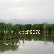 ƫ