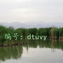 ͨ