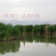 Բ