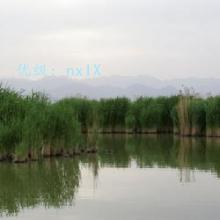 Բ