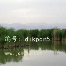 ƫ