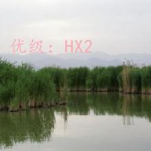 ƫ
