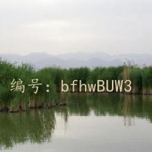 ƫ