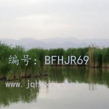 ƫ