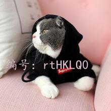 ЧӦ