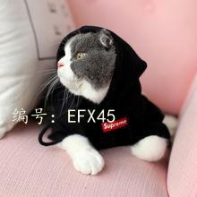 벻