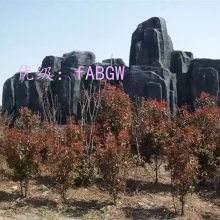 ʧ