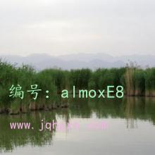 ҵ
