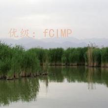 ʧ