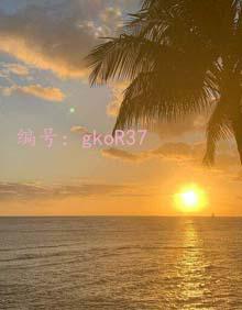 ҵ