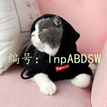 벻