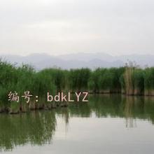 ջ