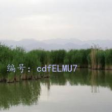 Բ