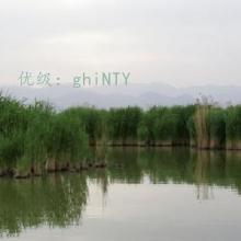 ɹ